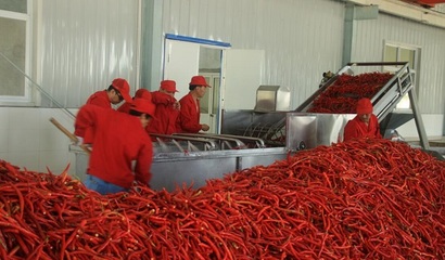 辣椒的食品深加工技术有哪些?