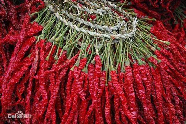 辣椒是我国重要的蔬菜和调味品,加工产品多,产业链长,附加值高,是重要